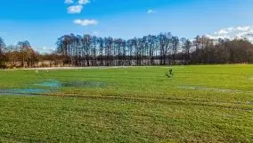 Szukamy wiosny - znajdujemy pierwsze oznaki - zdjęcie 27