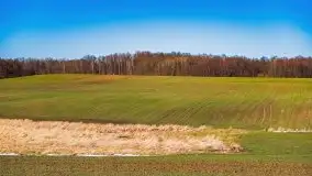 Szukamy wiosny - znajdujemy pierwsze oznaki - zdjęcie 25