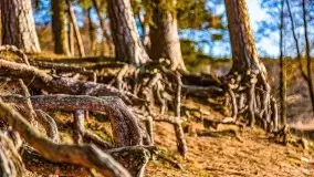 Przedwiosenny zachód słońca nad jeziorem Gołdopiwo i Żabiniec - zdjęcie 19