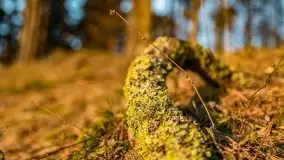 Przedwiosenny zachód słońca nad jeziorem Gołdopiwo i Żabiniec - zdjęcie 50