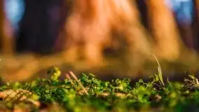 Przedwiosenny zachód słońca nad jeziorem Gołdopiwo i Żabiniec - zdjęcie 63