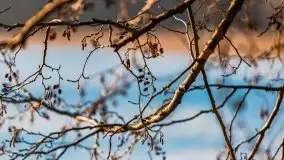 Marcowy zachód słońca nad jeziorem Dejguny - zdjęcie 6