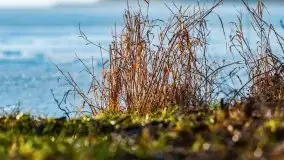 Marcowy zachód słońca nad jeziorem Dejguny - zdjęcie 13