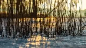 Marcowy zachód słońca nad jeziorem Dejguny - zdjęcie 16