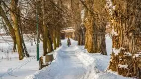 Zimowe Giżycko, luty 2021 - zdjęcie 31