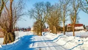 Zimowa sceneria okolic Kętrzyna, luty 2021 - zdjęcie 10