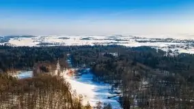 Las miejski w Giżycku, zimowa odsłona, luty 2021 r. - zdjęcie 14