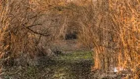 Marcowy zachód słońca nad jeziorem Kisajno - zdjęcie 13