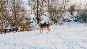 Mazury u progu wiosny, ujęcia z różnych miejsc - zdjęcie 8