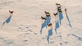 Mazury u progu wiosny, ujęcia z różnych miejsc - zdjęcie 58