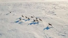 Mazury u progu wiosny, ujęcia z różnych miejsc - zdjęcie 4