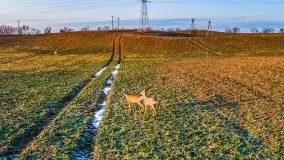 Mazury u progu wiosny, ujęcia z różnych miejsc - zdjęcie 70