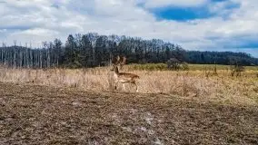 Mazury u progu wiosny, ujęcia z różnych miejsc - zdjęcie 14
