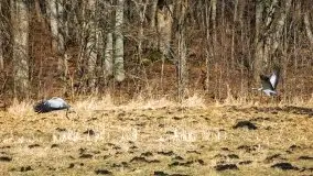 Mazury u progu wiosny, ujęcia z różnych miejsc - zdjęcie 33