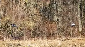 Mazury u progu wiosny, ujęcia z różnych miejsc - zdjęcie 59