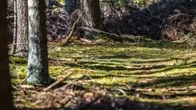 Mazury u progu wiosny, ujęcia z różnych miejsc - zdjęcie 31