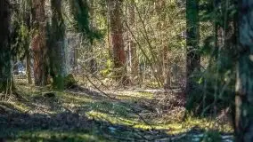 Mazury u progu wiosny, ujęcia z różnych miejsc - zdjęcie 15