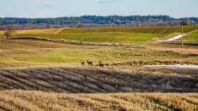 Mazury u progu wiosny, ujęcia z różnych miejsc - zdjęcie 63
