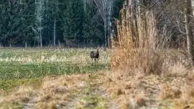 Mazury u progu wiosny, ujęcia z różnych miejsc - zdjęcie 49