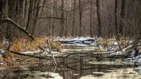 Mazury u progu wiosny, ujęcia z różnych miejsc - zdjęcie 64