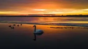 Za takie wschody słońca kochamy Mazury - zdjęcie 3