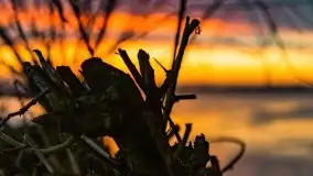 Za takie wschody słońca kochamy Mazury - zdjęcie 29