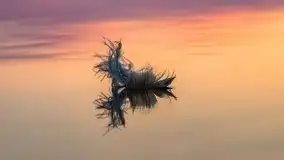 Jeszcze więcej magii Mazur - zachód nad jeziorem Święcajty - zdjęcie 29