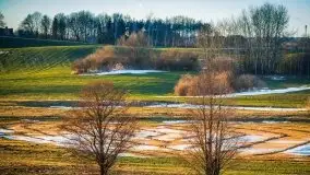 Miłośnicy Mazur - przedwiośnie na zdjęciach Staszka Sielewicza - zdjęcie 4