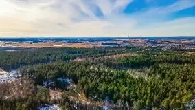 Przedwiośnie 2021 nad jeziorem Białym - zdjęcie 48