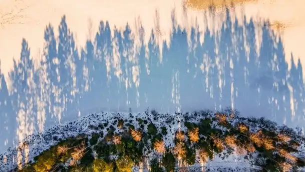 Przedwiośnie 2021 nad jeziorem Białym - zdjęcie 6