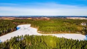 Przedwiośnie 2021 nad jeziorem Białym - zdjęcie 12