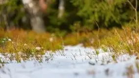 Przedwiośnie 2021 nad jeziorem Białym - zdjęcie 26