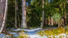 Przedwiośnie 2021 nad jeziorem Białym - zdjęcie 45