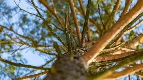 Przedwiośnie 2021 nad jeziorem Białym - zdjęcie 4