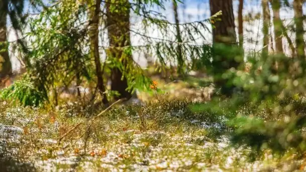 Przedwiośnie 2021 nad jeziorem Białym - zdjęcie 7