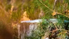 Przedwiośnie 2021 nad jeziorem Białym - zdjęcie 57