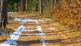 Przedwiośnie 2021 nad jeziorem Białym - zdjęcie 28