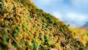 Przedwiośnie 2021 nad jeziorem Białym - zdjęcie 37