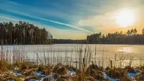 Przedwiośnie 2021 nad jeziorem Białym - zdjęcie 59