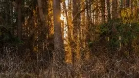 Efekt halo - zachód słońca nad jeziorem Dargin - zdjęcie 24