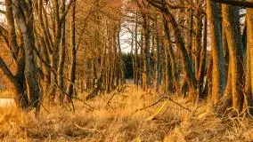 Efekt halo - zachód słońca nad jeziorem Dargin - zdjęcie 42