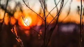 Efekt halo - zachód słońca nad jeziorem Dargin - zdjęcie 51