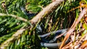 Wiosna w rezerwacie przyrody Borki, marzec 2021 - zdjęcie 44