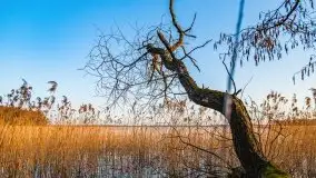 Zachód słońca nad jeziorem Gołdopiwo, od strony Przerwanek - zdjęcie 16