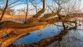 Zachód słońca nad jeziorem Gołdopiwo, od strony Przerwanek - zdjęcie 1