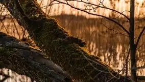 Zachód słońca nad jeziorem Gołdopiwo, od strony Przerwanek - zdjęcie 14