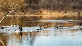 Przeprawa na Mazury, rzeki Narew i Pisa - zdjęcie 53
