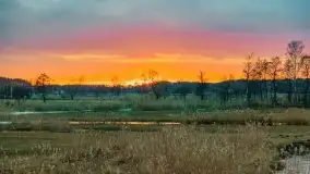 Przeprawa na Mazury, rzeki Narew i Pisa - zdjęcie 78