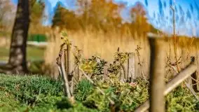 Narodziny nowego dnia w Wydminach, kwiecień 2021 - zdjęcie 23