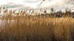 Narodziny nowego dnia w Wydminach, kwiecień 2021 - zdjęcie 29